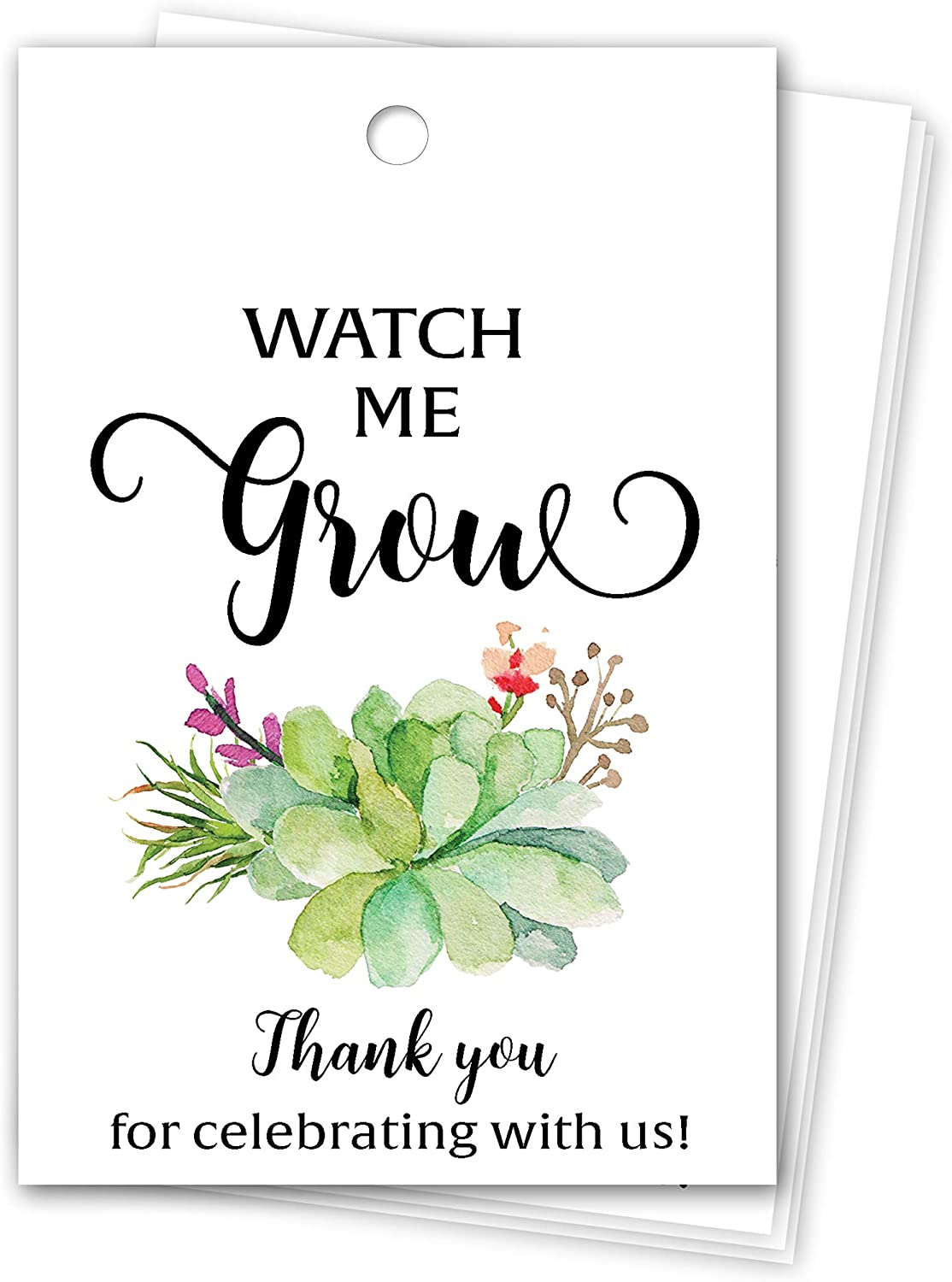succulent tags Floral Green Succulents Favor Tags