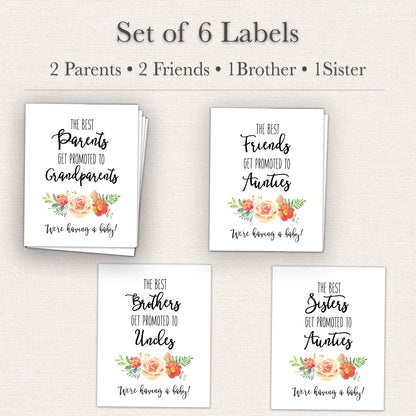 Family & Friends Pregnancy Announcement Wine Labels • Set of 6 • Final Sale