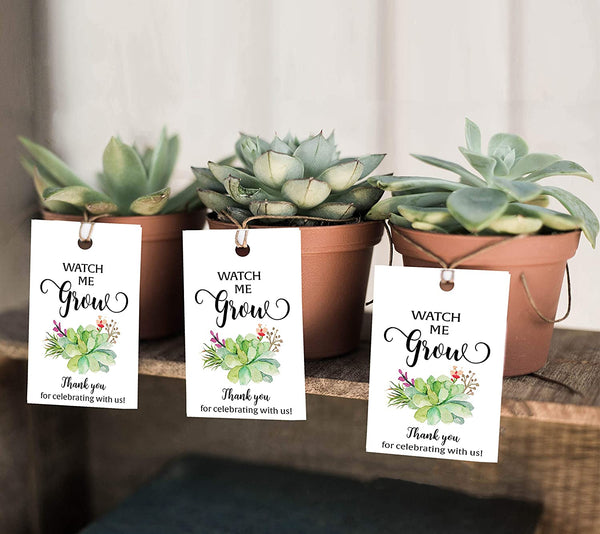 Floral Green Succulents Favor Tags - Watch Me Grow Tags • SET of 25