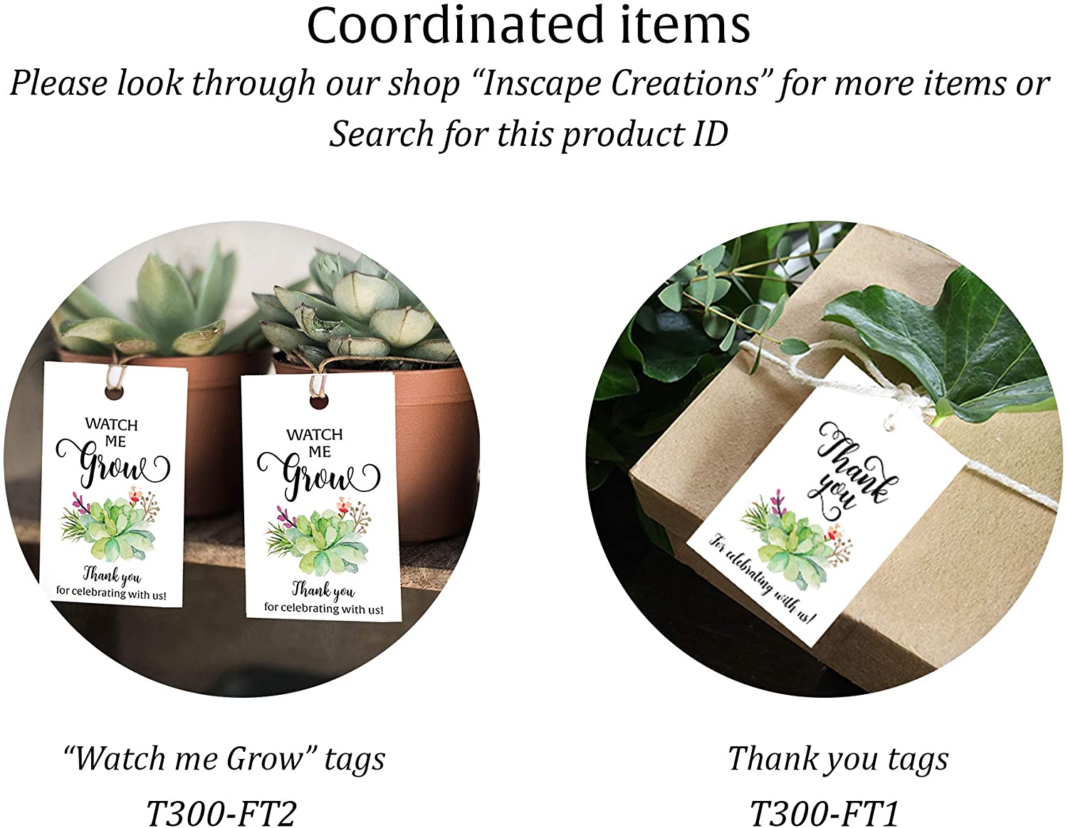 watch me grow succulent tags Floral Green Succulents Baby Shower Game